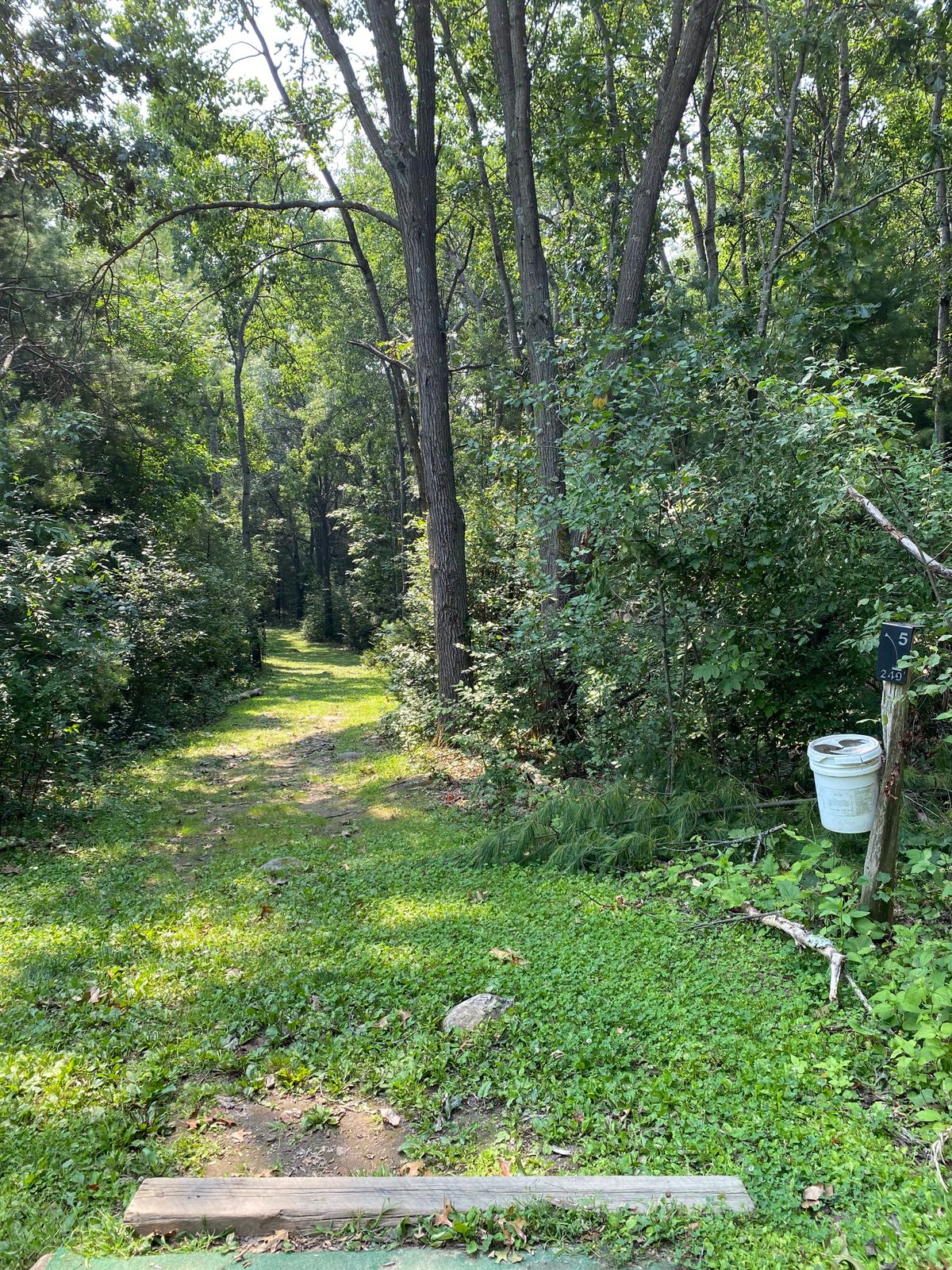 Hole #5 from tee.