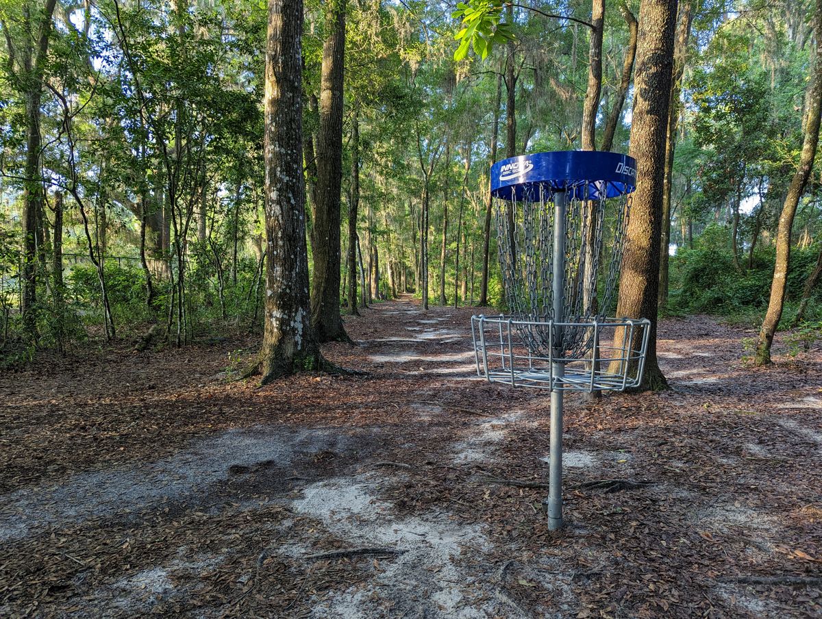 Short basket position looking back down the tunnel fairway to the tee pad.