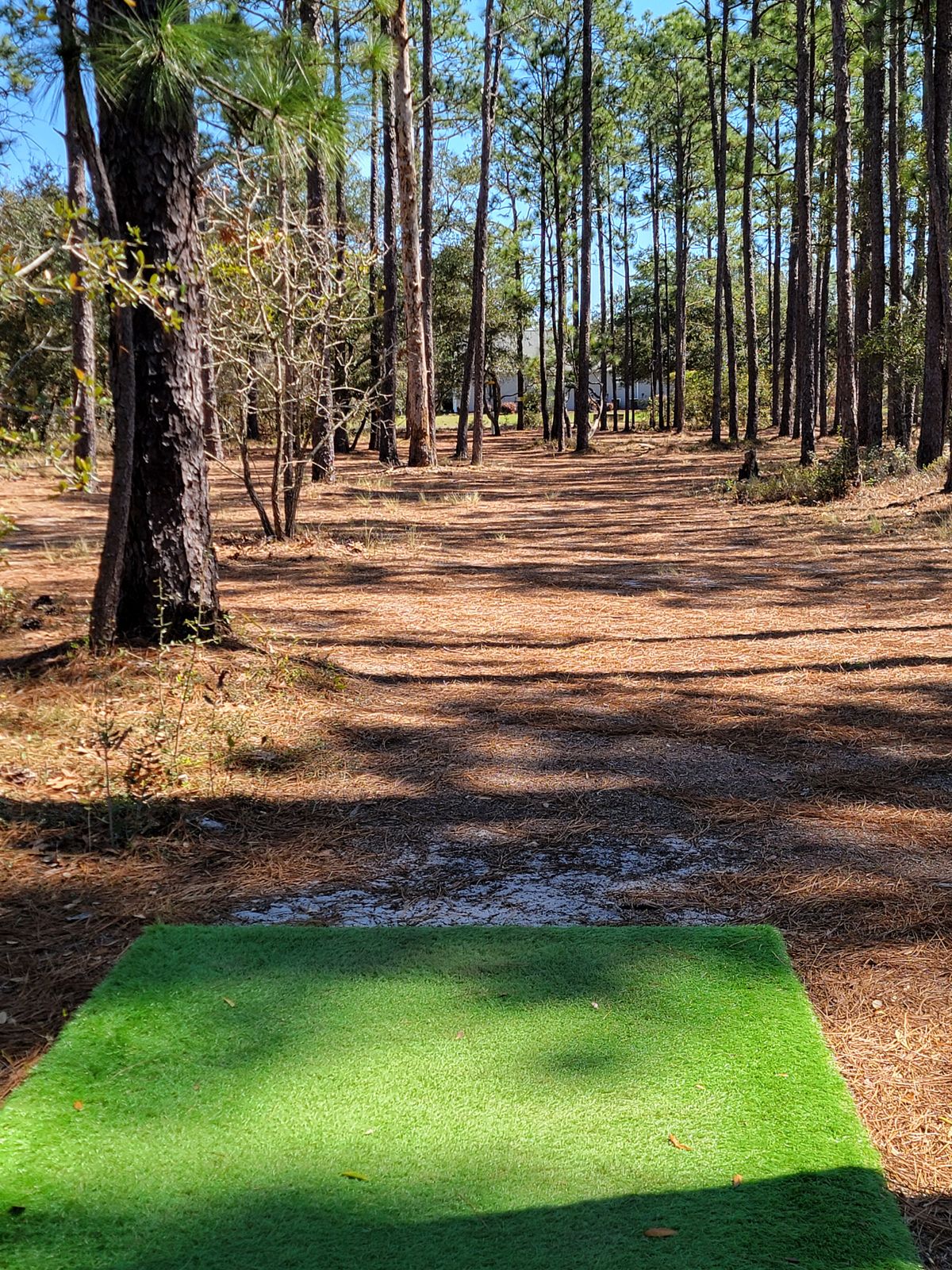 Hole 7 tee