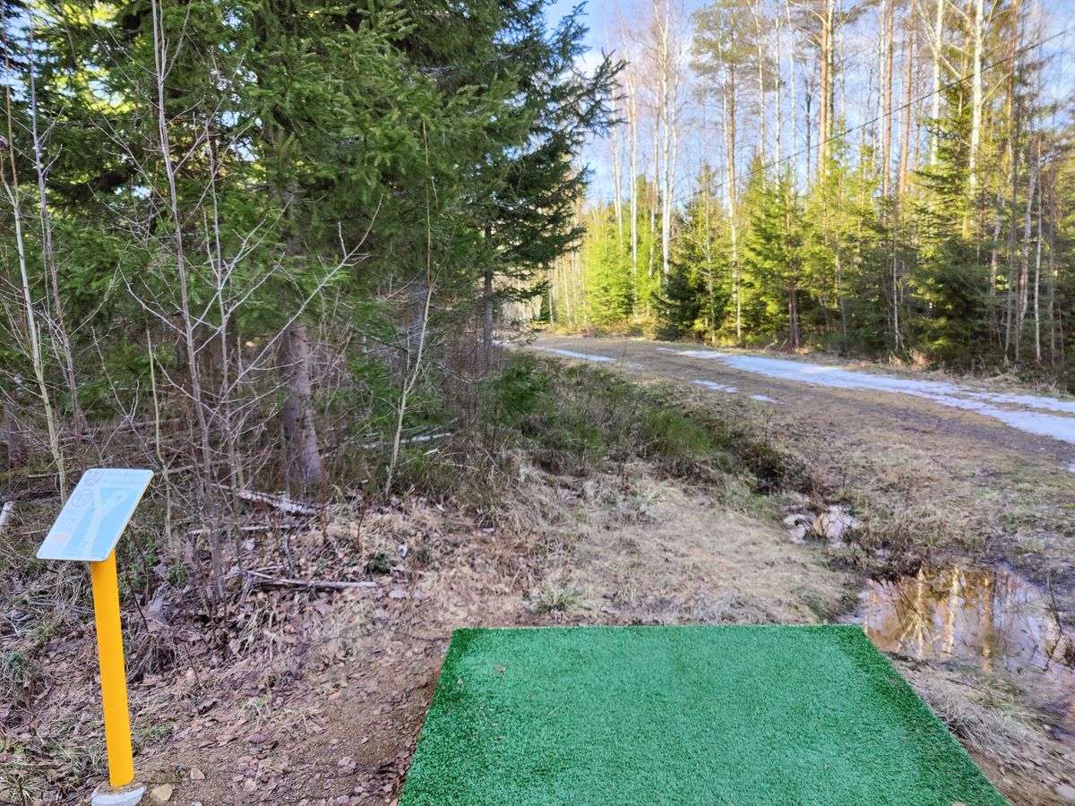 Väylä 17 tii