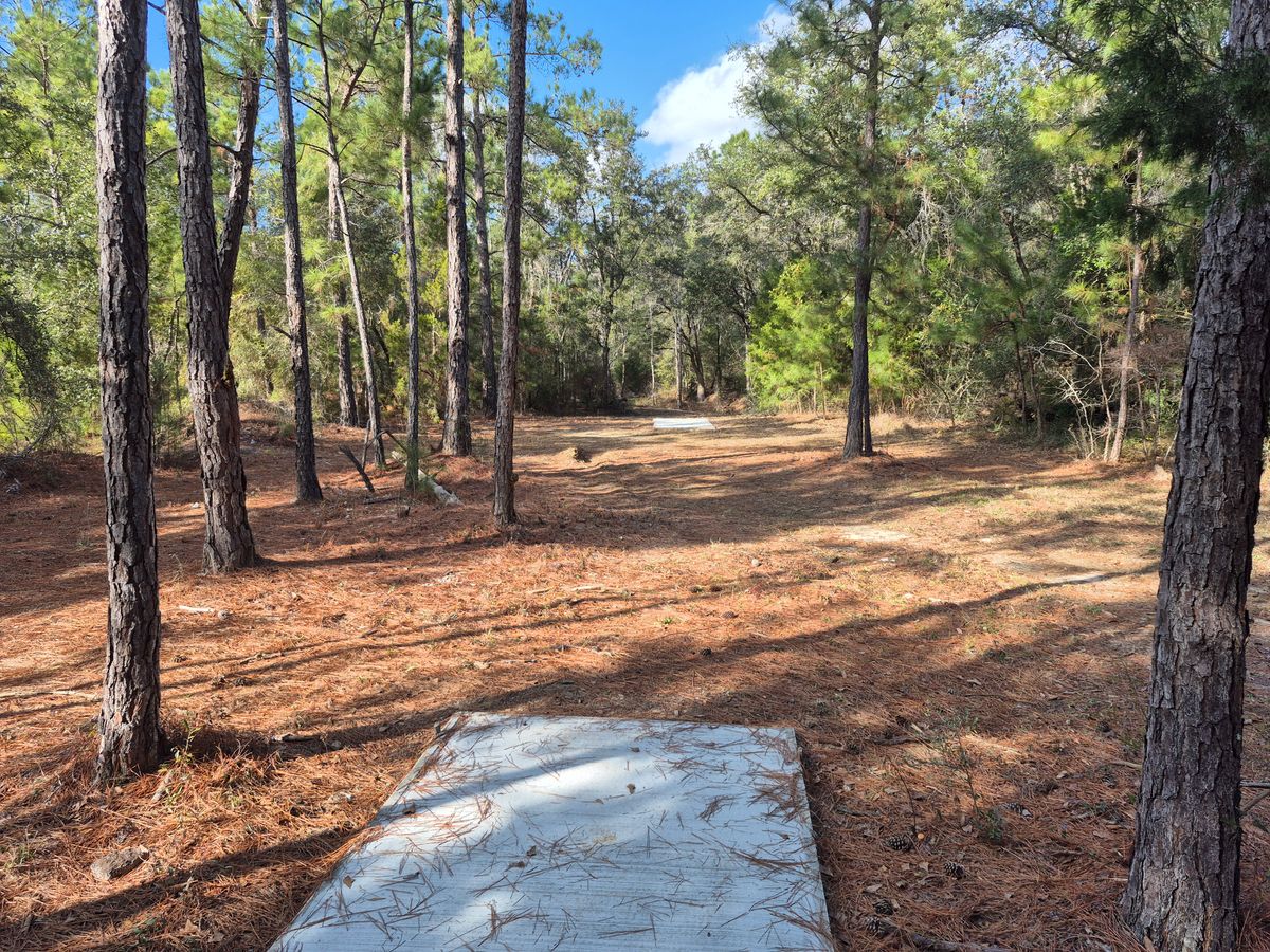 Hole 6 long pad
