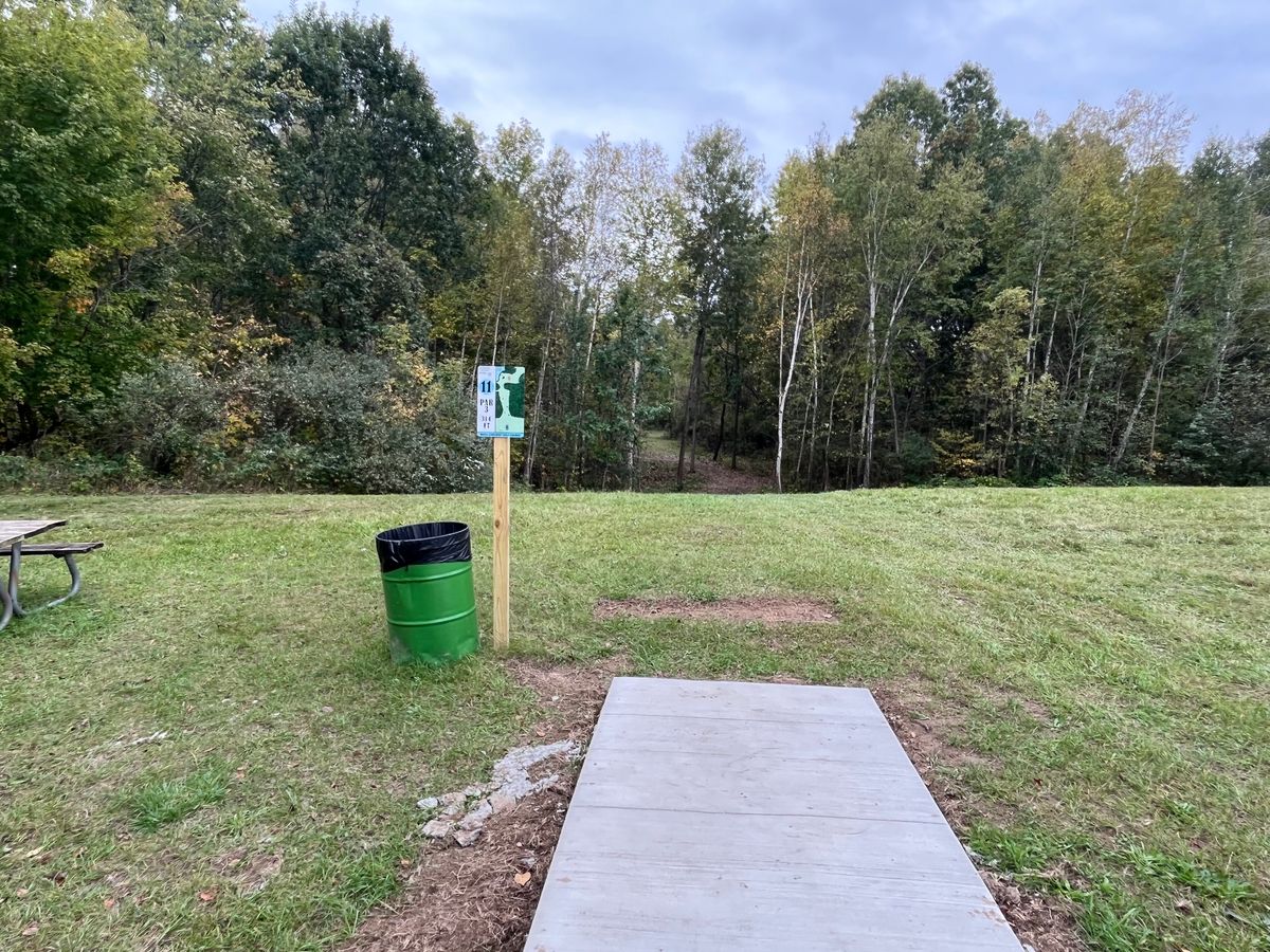 Hole 11 tee pad
Flex forehand to park, backhand to get to C2
