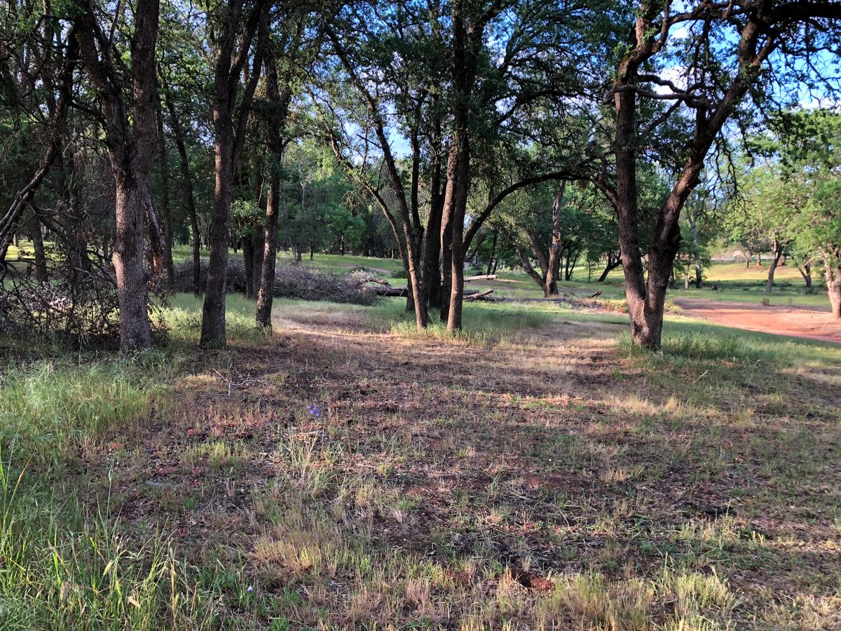 Hole 17  Witches Broom