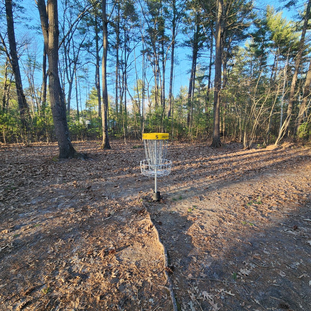 Hole 5