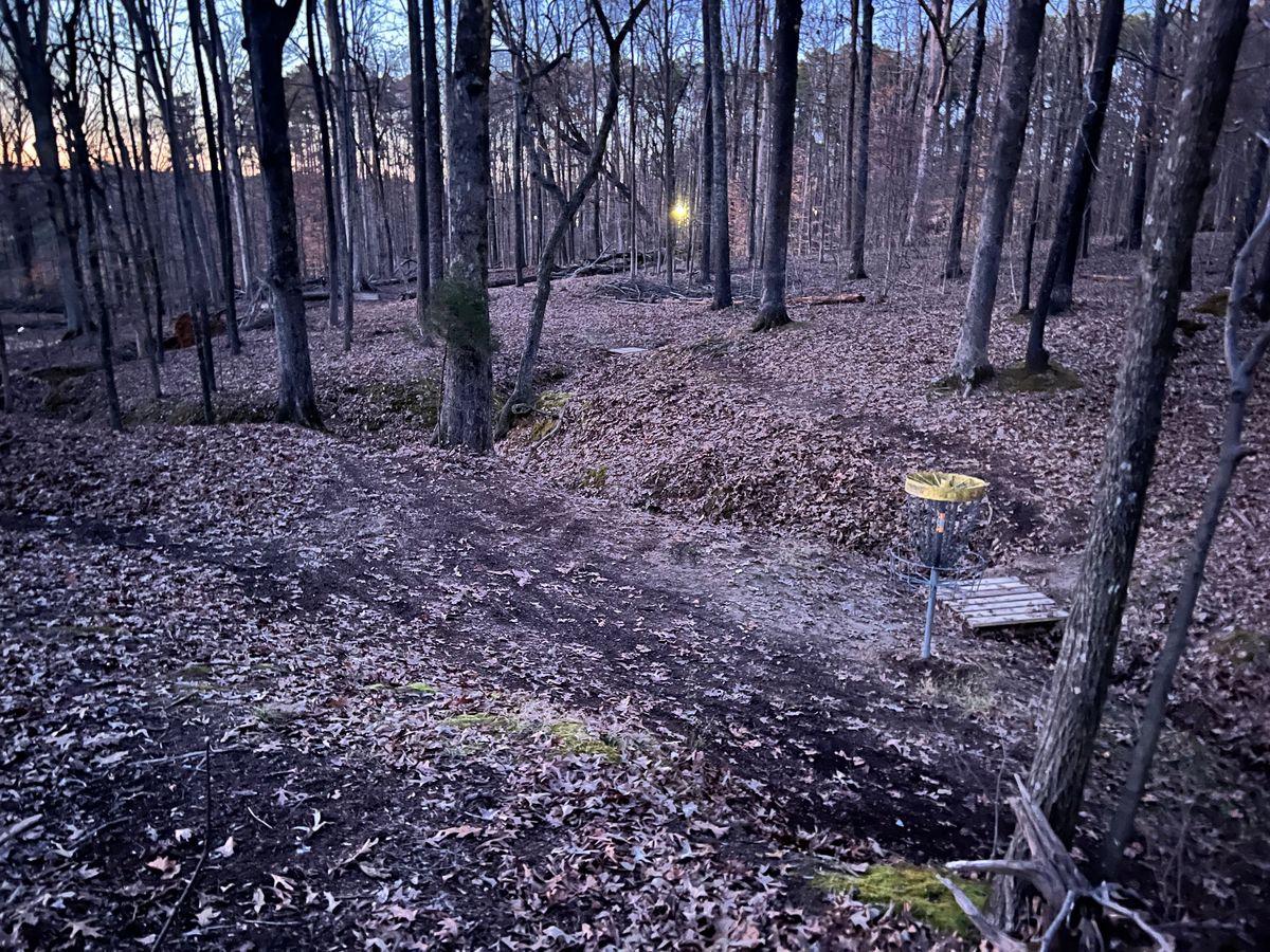 Hole 7 view from the green looking back towards tee.