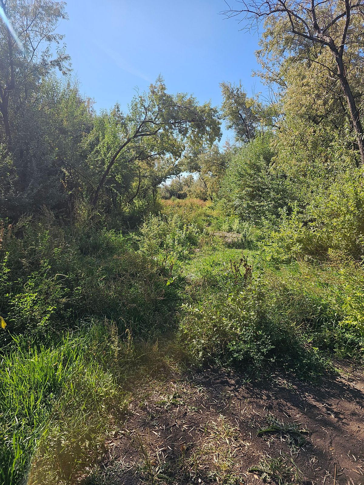 Hole 2 Fairway as of 9/28/23