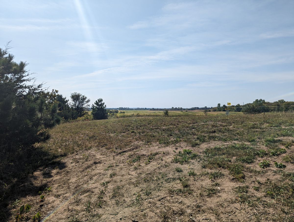 Fairway to Long Basket