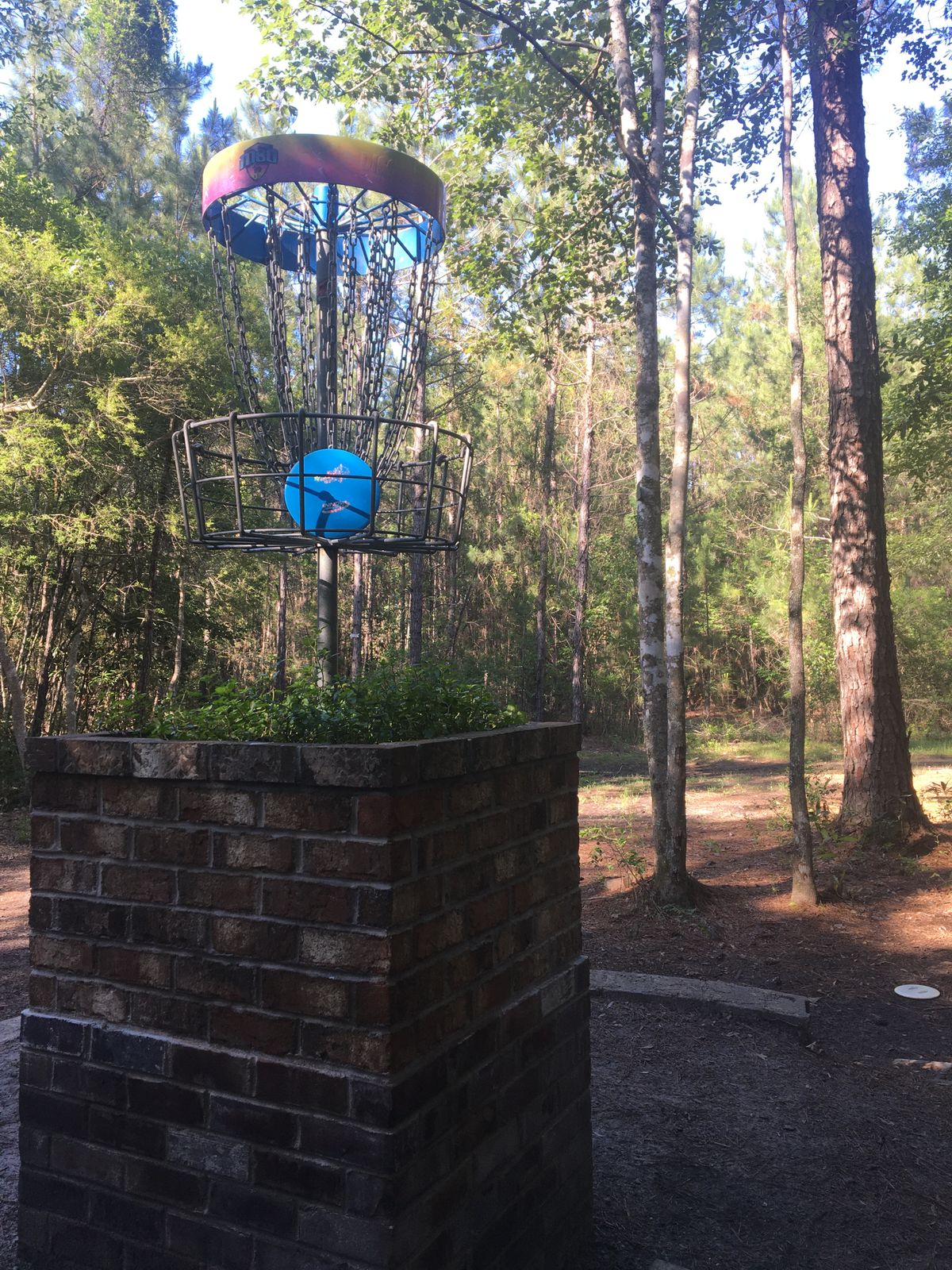 tall basket finish