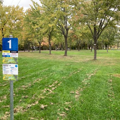 Départ #1 , panier à gauche après la rangée d’arbres