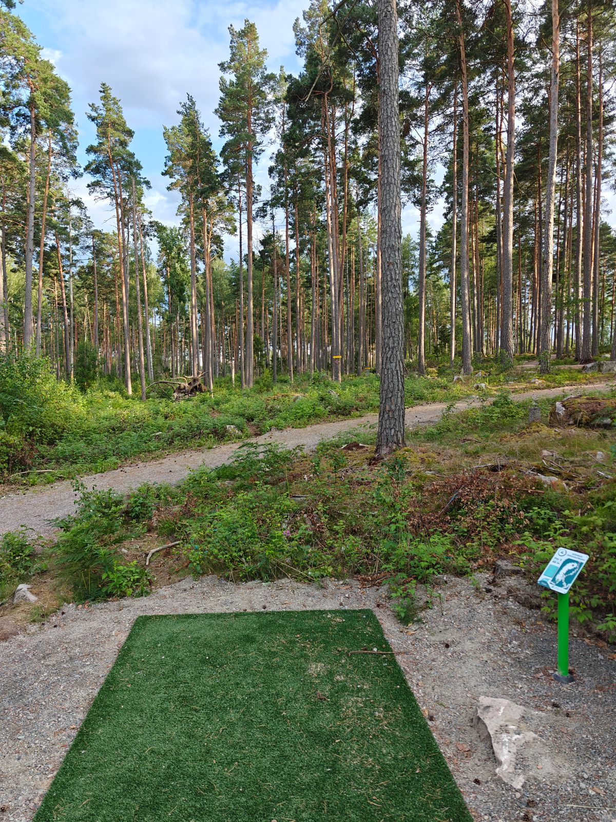 Hål 4