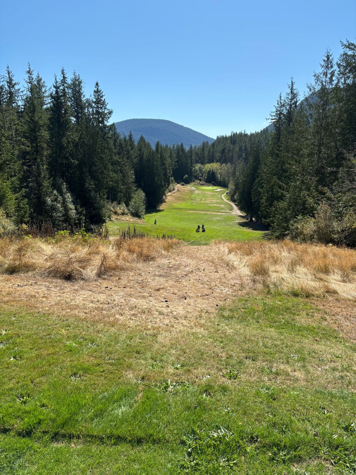 Hole 2 from blue tee pad. Basket is on the rocks at the very end of the fairway. Get ready to bomb.