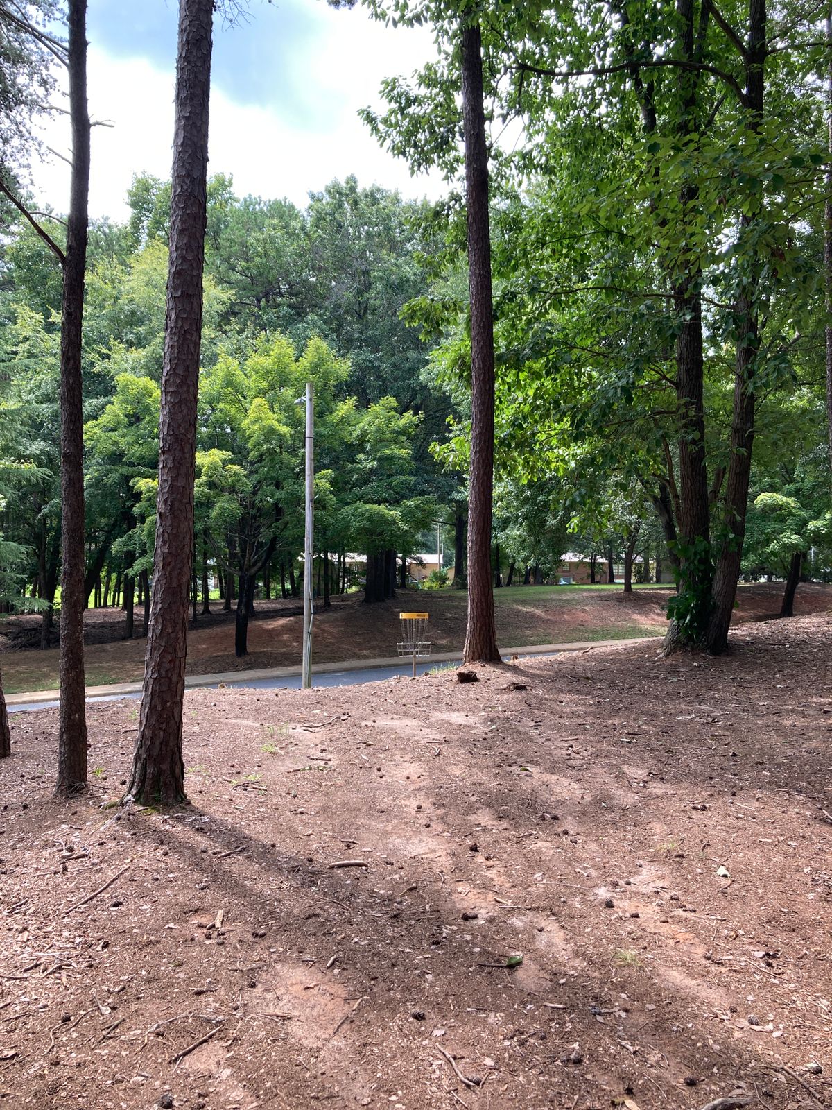 Hole 6 - Basket on hill with OB road at the edge of circle one.