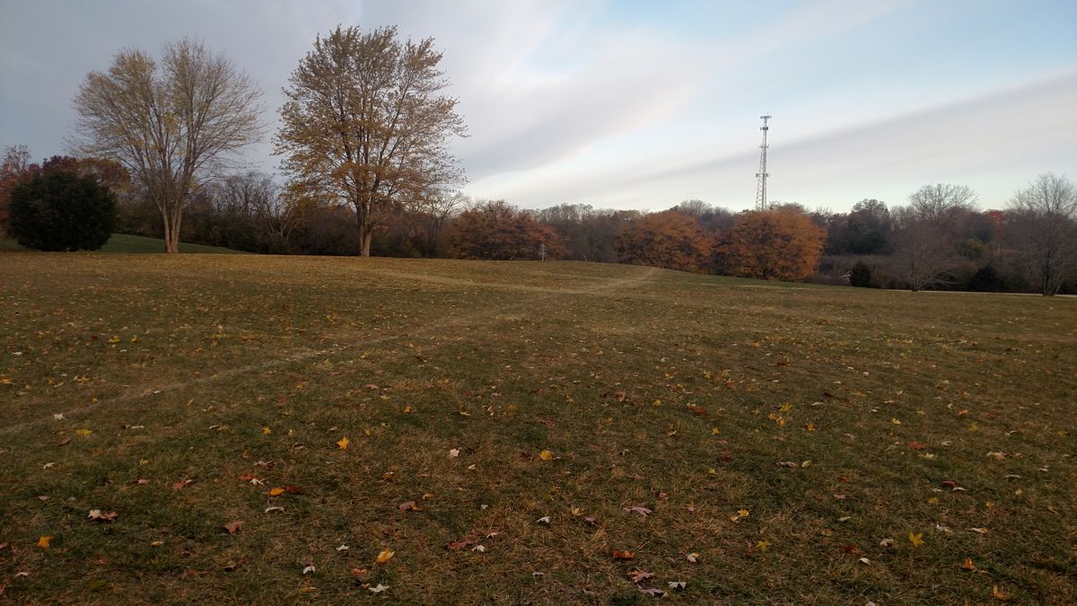 Hole #2 Fairway