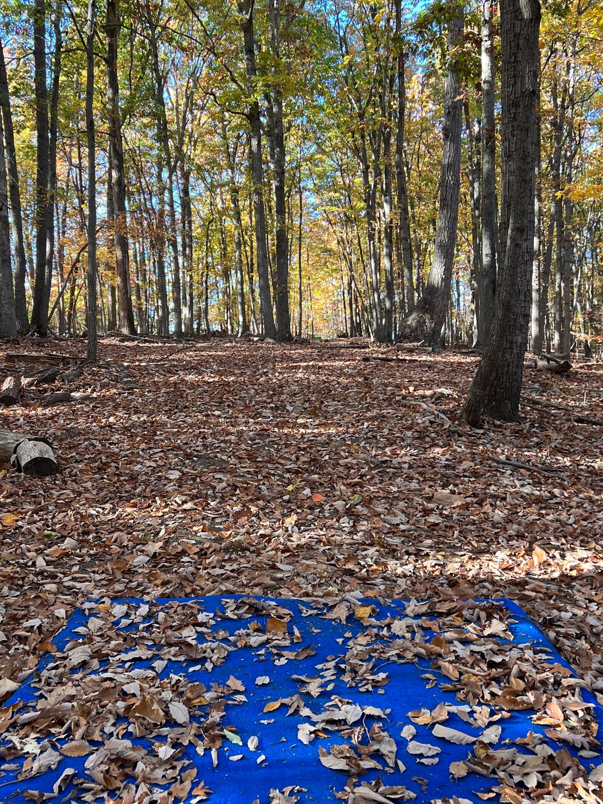 Hole 9