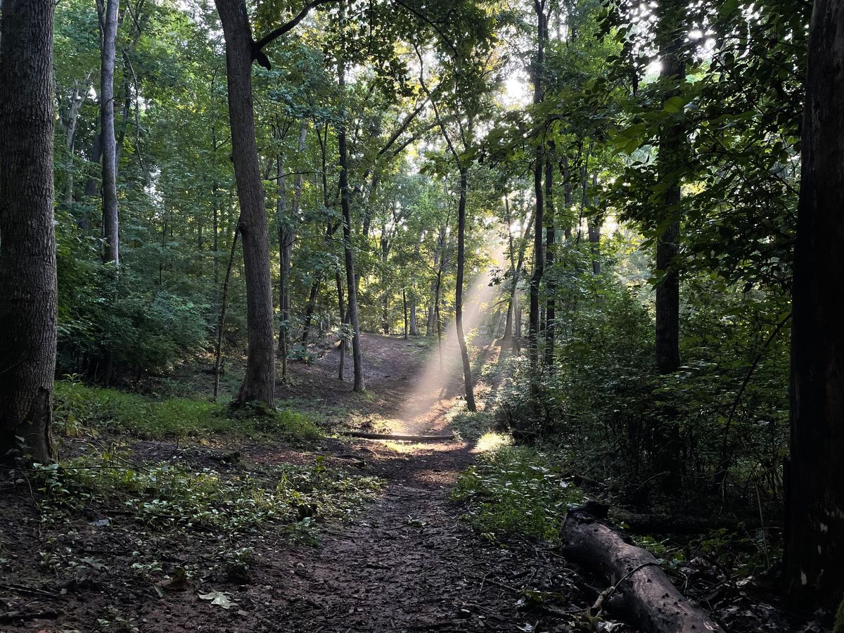 Hole 2 Sunrise