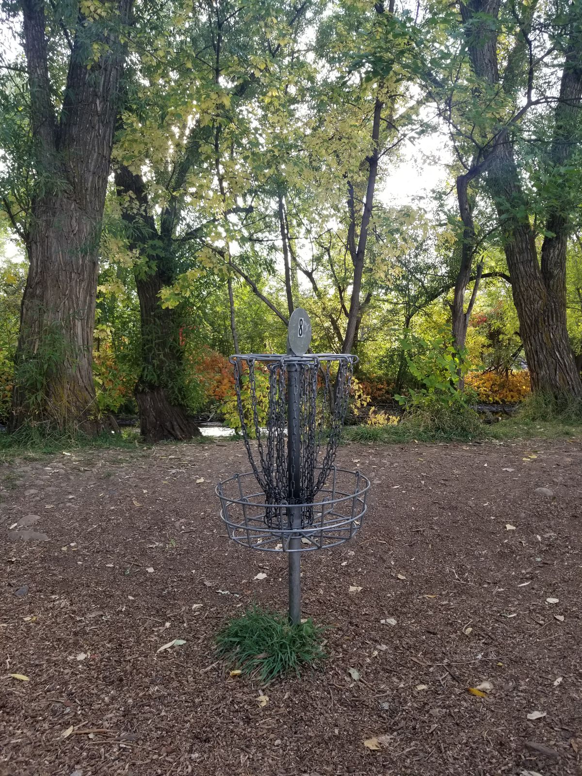 Hole 8