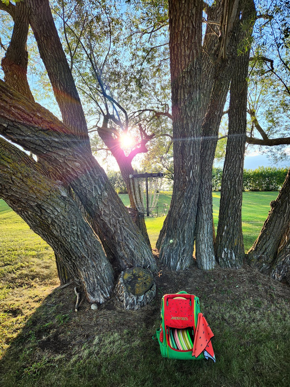 Hole 4 basket
