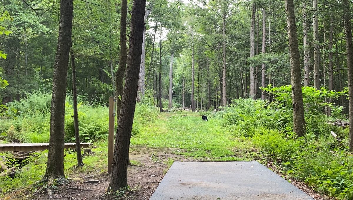 Tee pad 3