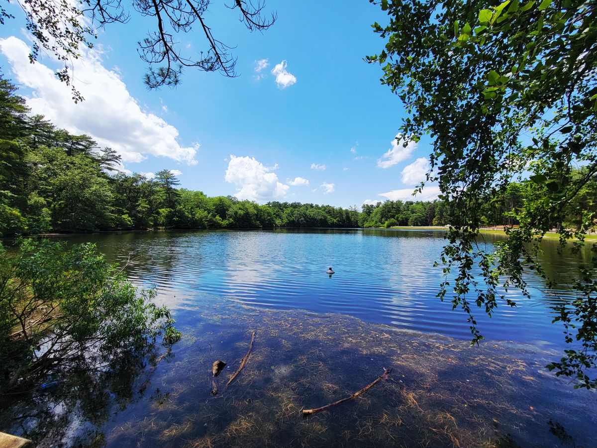 The lake view by hole 3