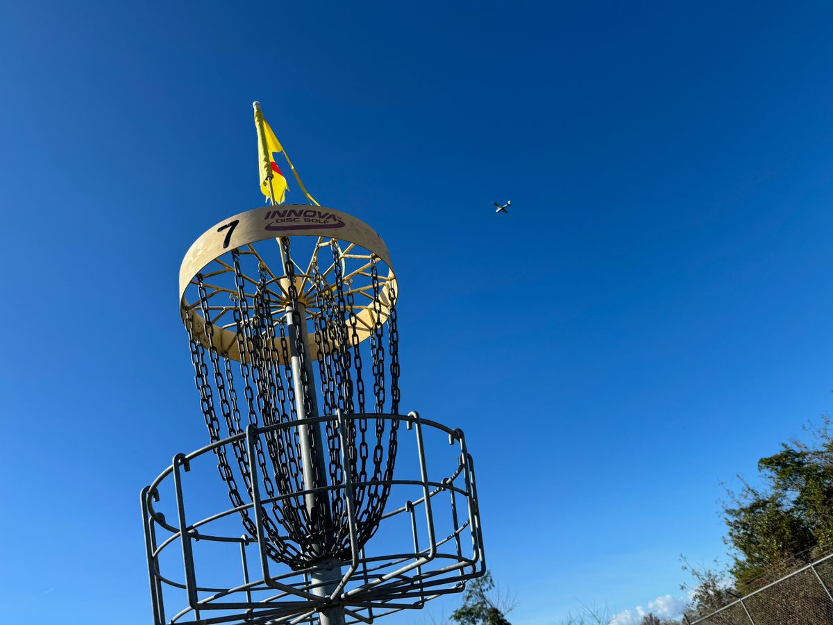 Birdies and planes
