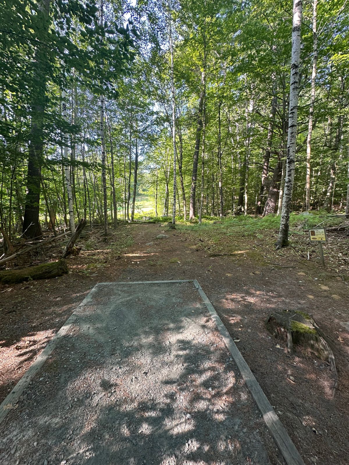 Tee pad 16