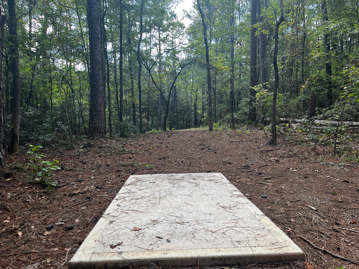 Hole 3 tee box