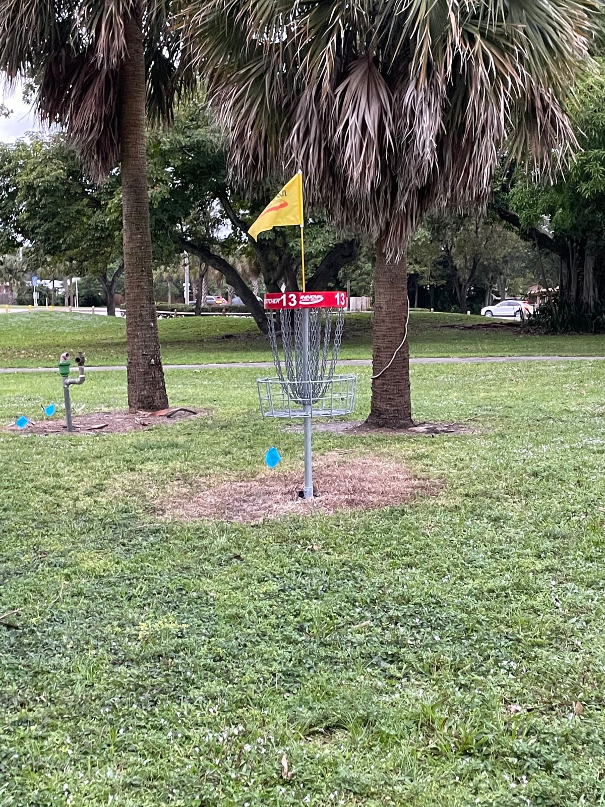 Hole 13 Basket