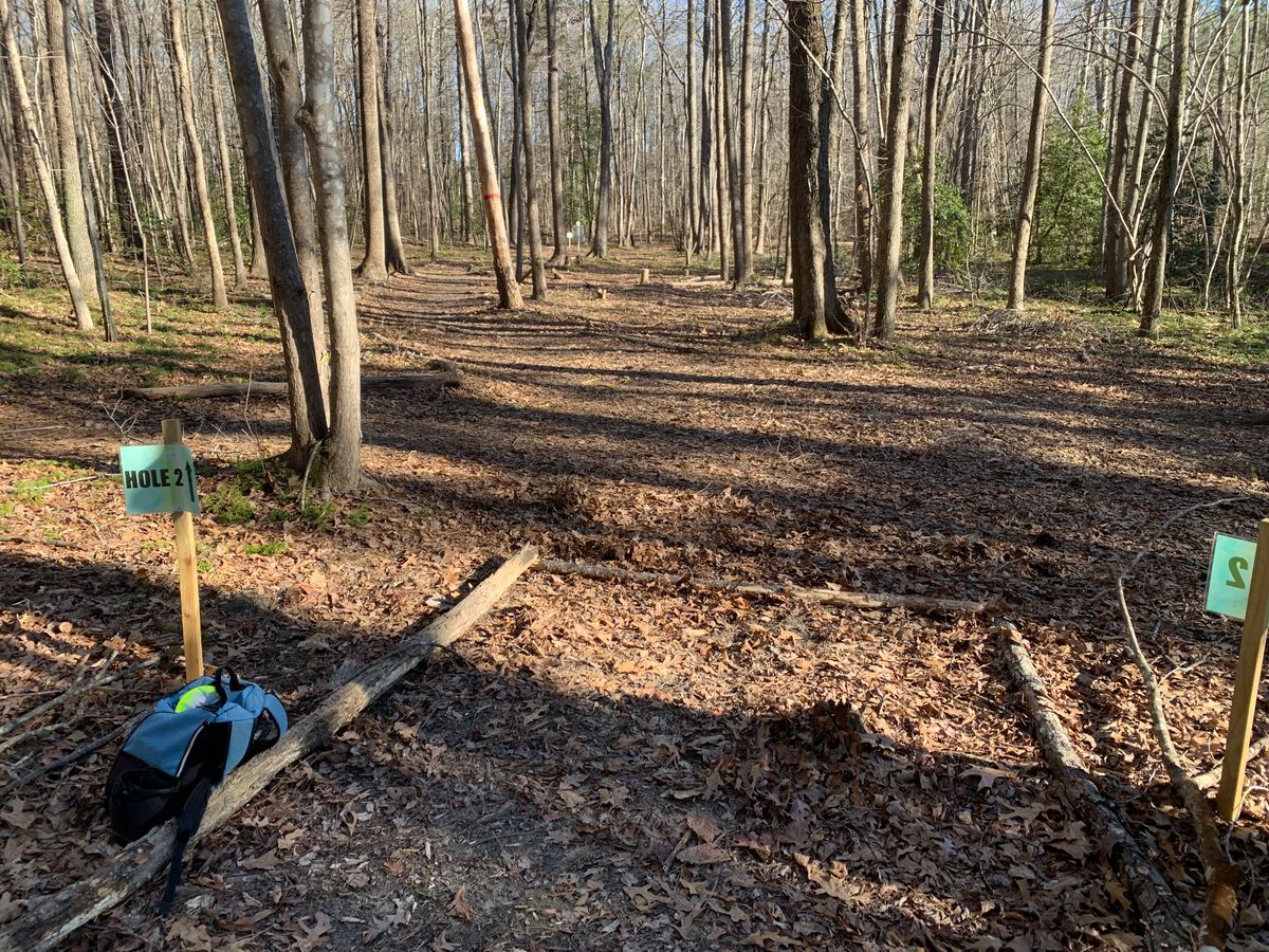 Hole 2 tee area