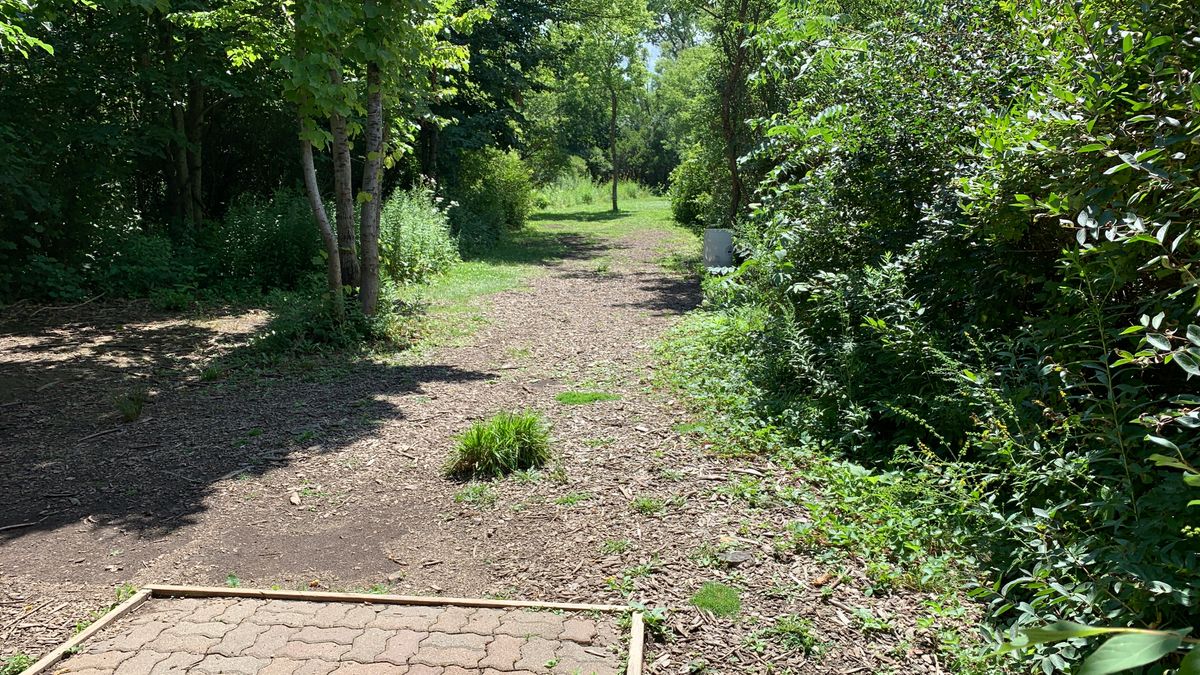 Hole 11