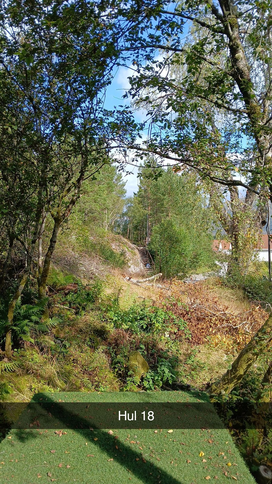 Blå