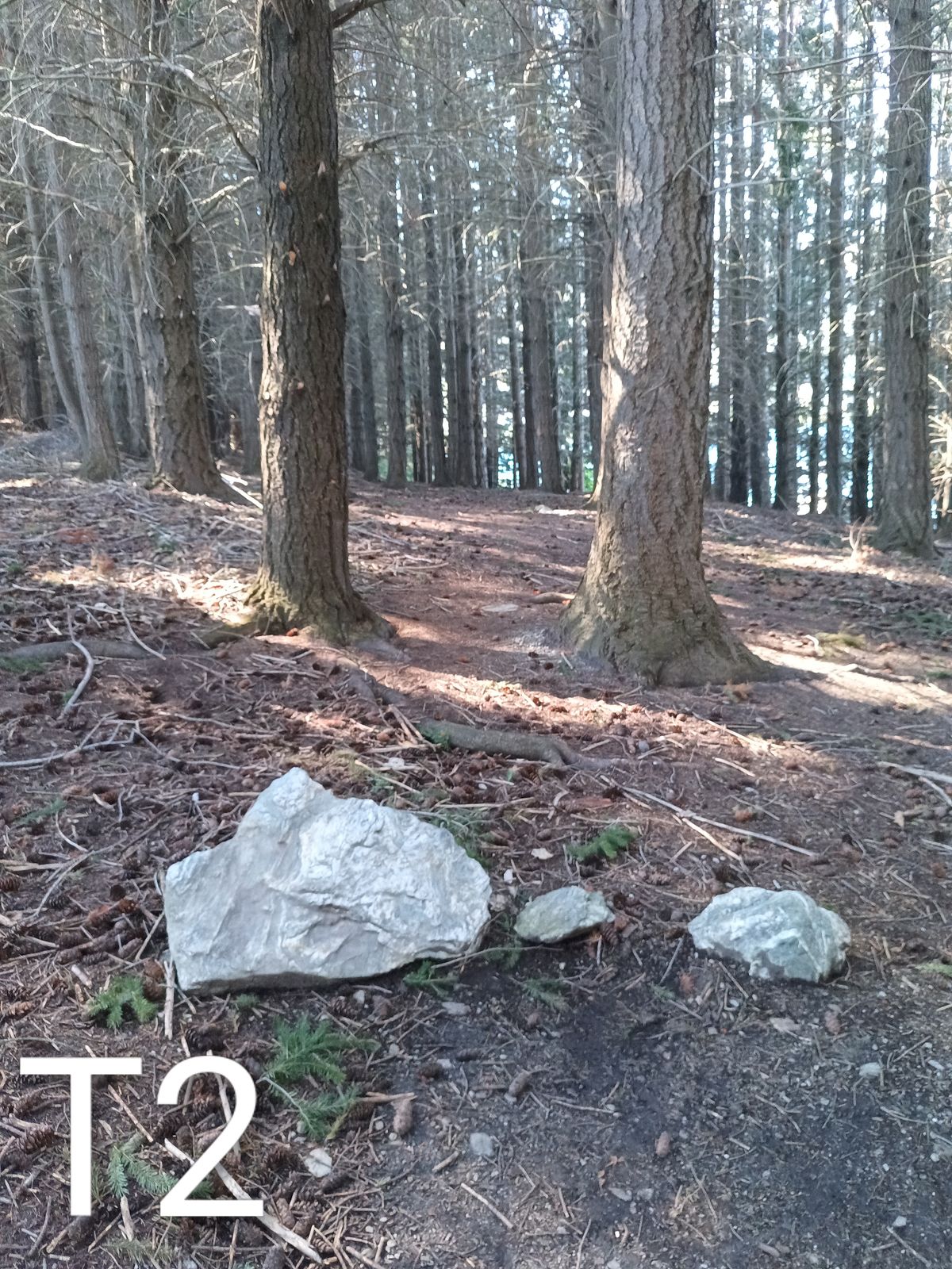 60m Throw straight with a slight finish to the left