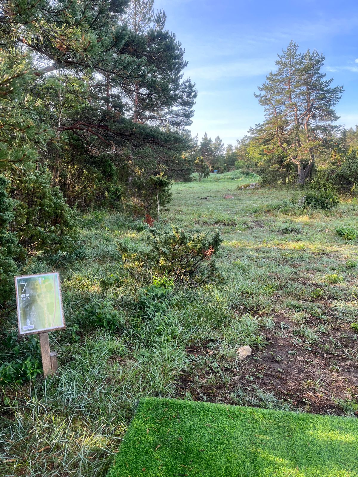 Hole 7 tät skog till vänster