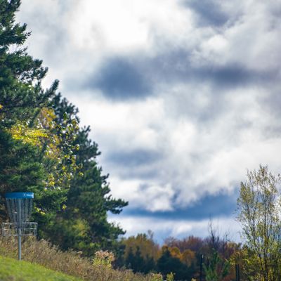 Photo by Andrew Goodwin