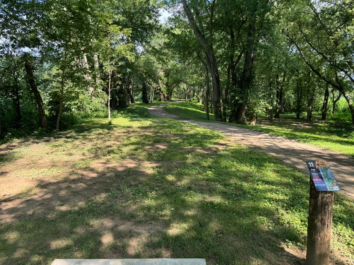Hole 11 Tee