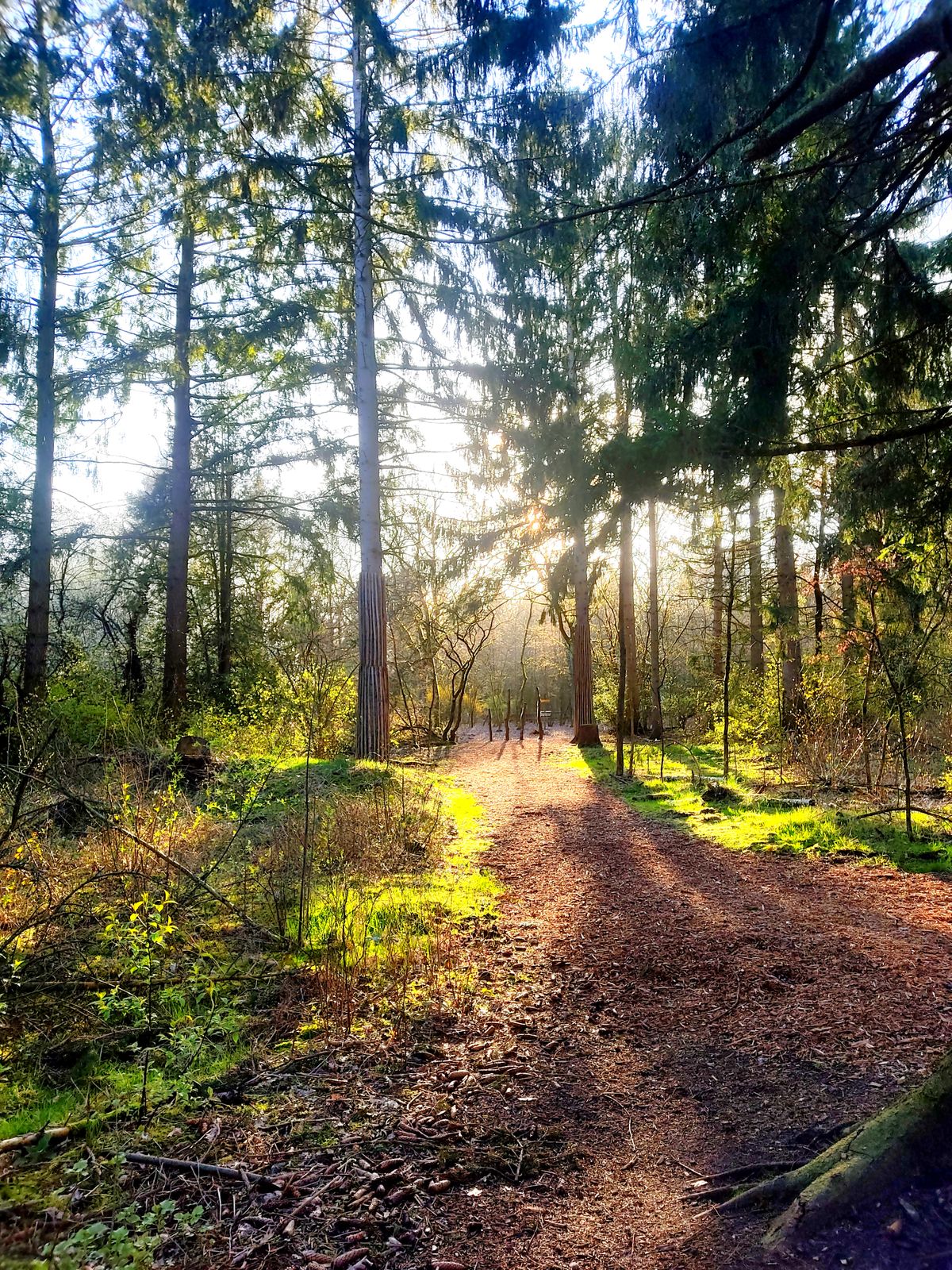 Ende März, 18:00 Uhr