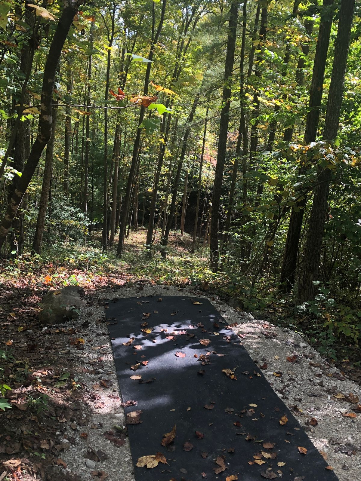 Hole 13’s Tee pad. Plays downhill an slightly to the right.