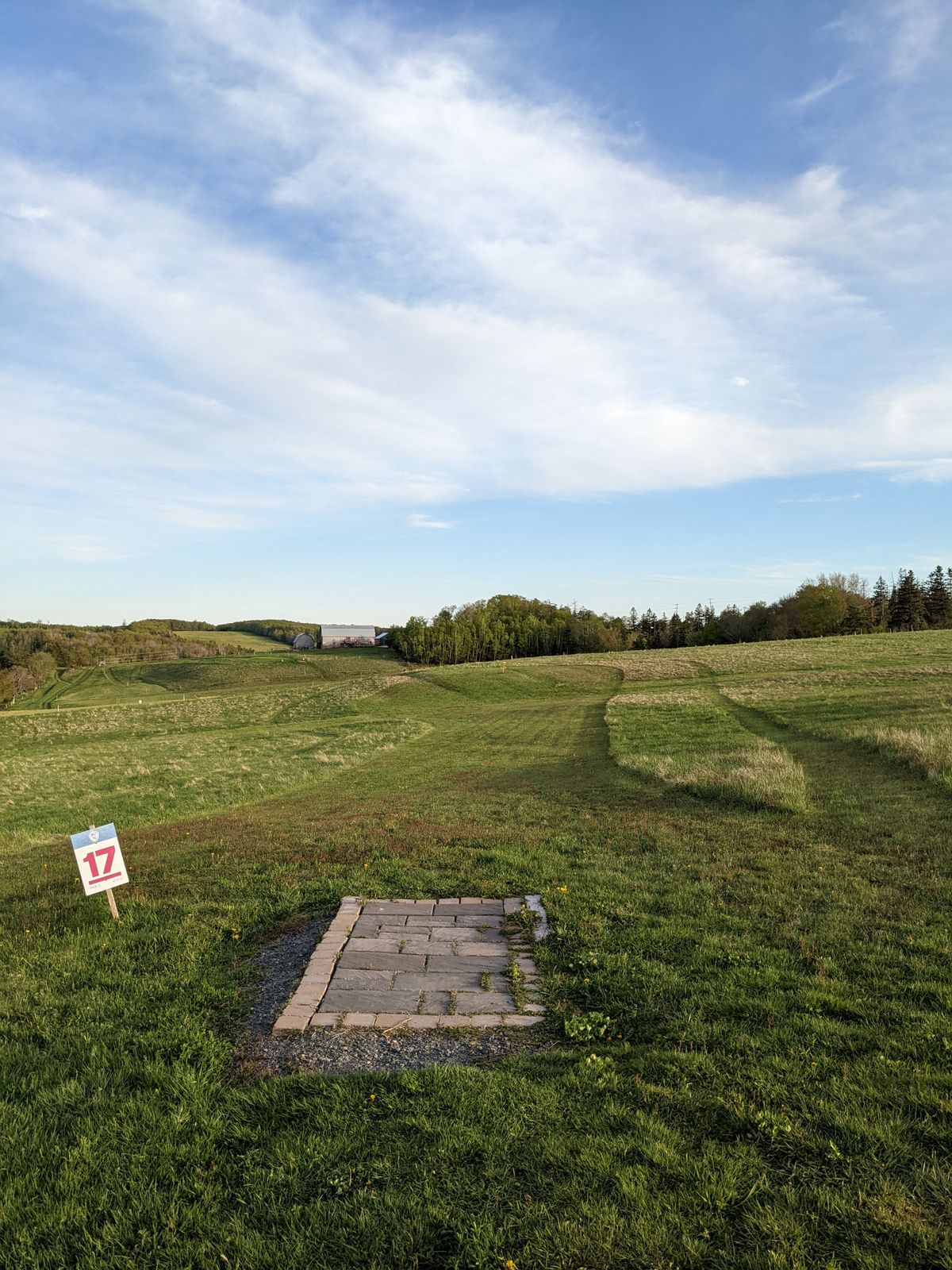 Hole 17, wide open 375ft slightly downhill. A bit harder than it looks depending on wind!