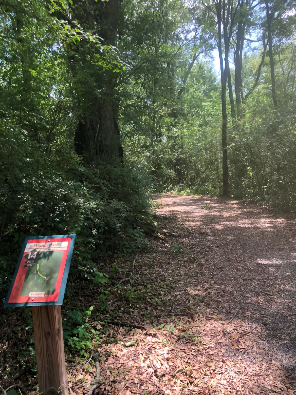 Hole 14