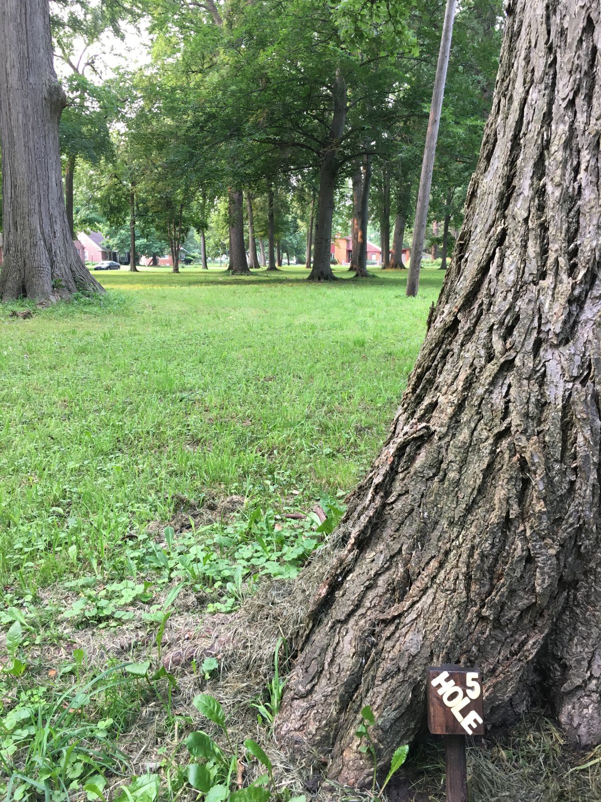 Hole 5 tee