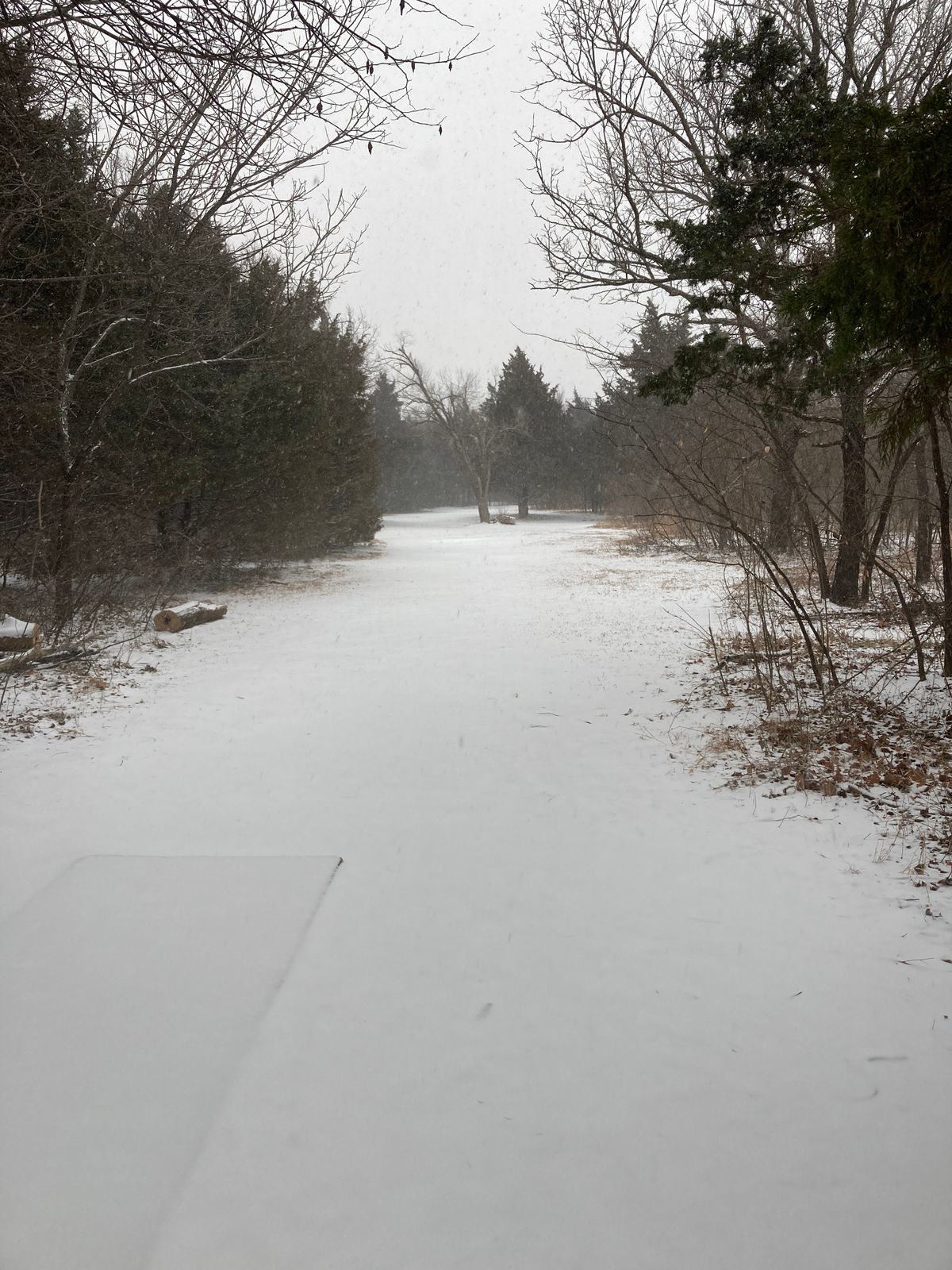 Hole 11