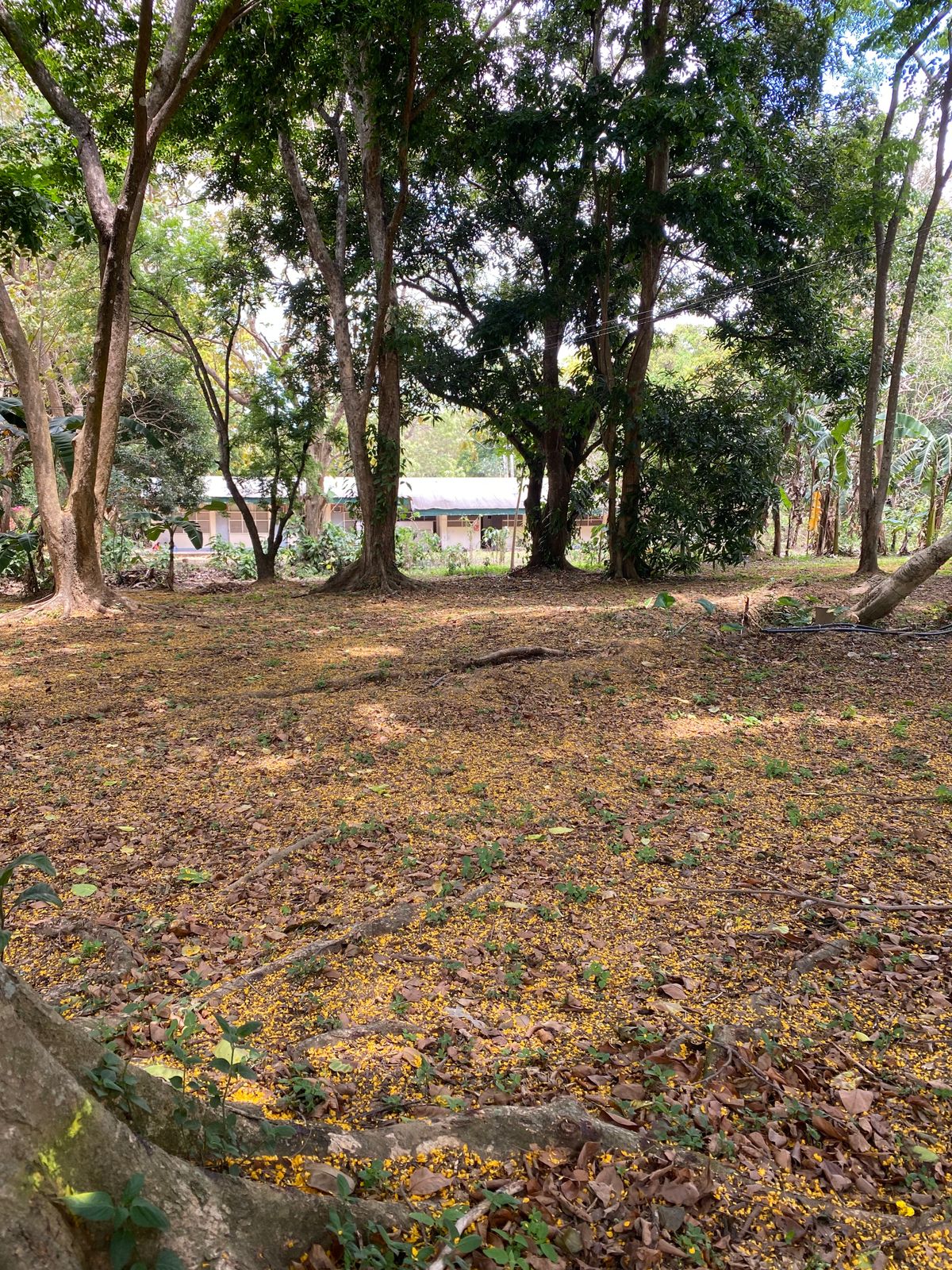 Hole 9
