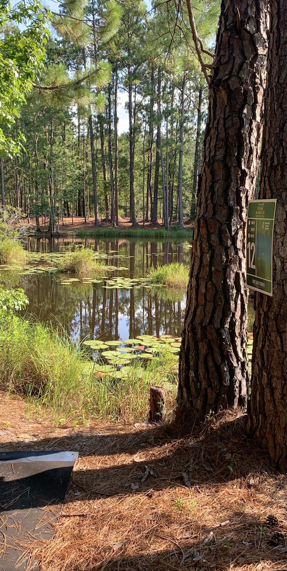 Hole 12, island green