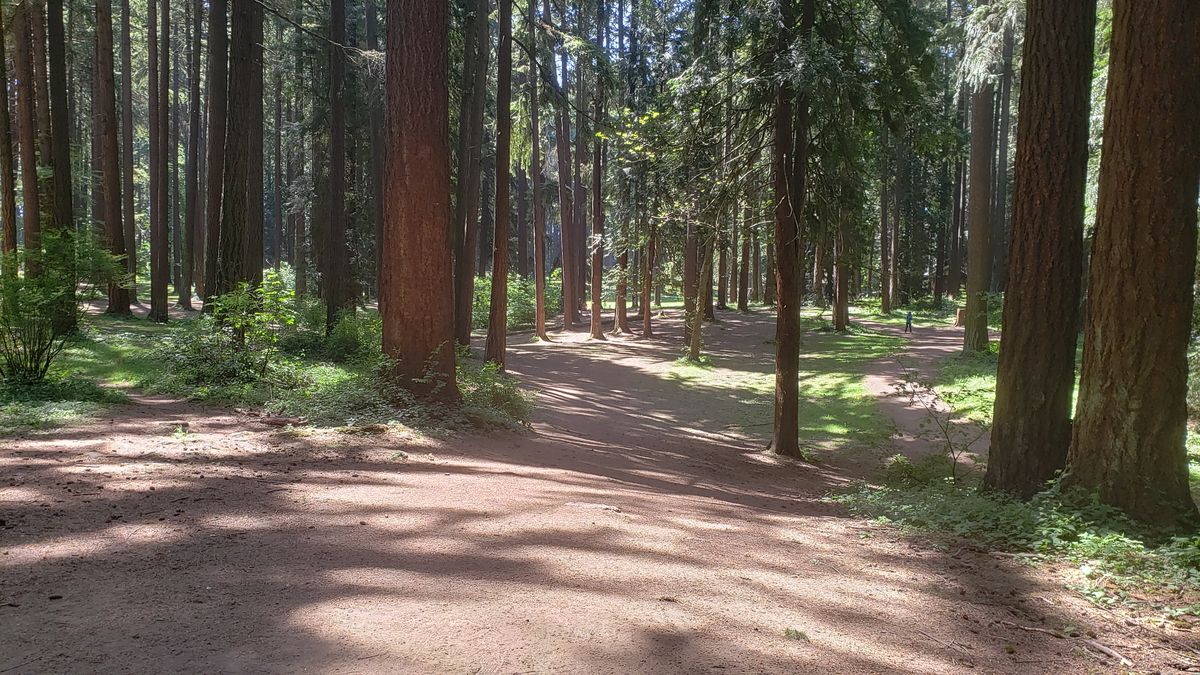 Summer hole 7/Winter hole 8
