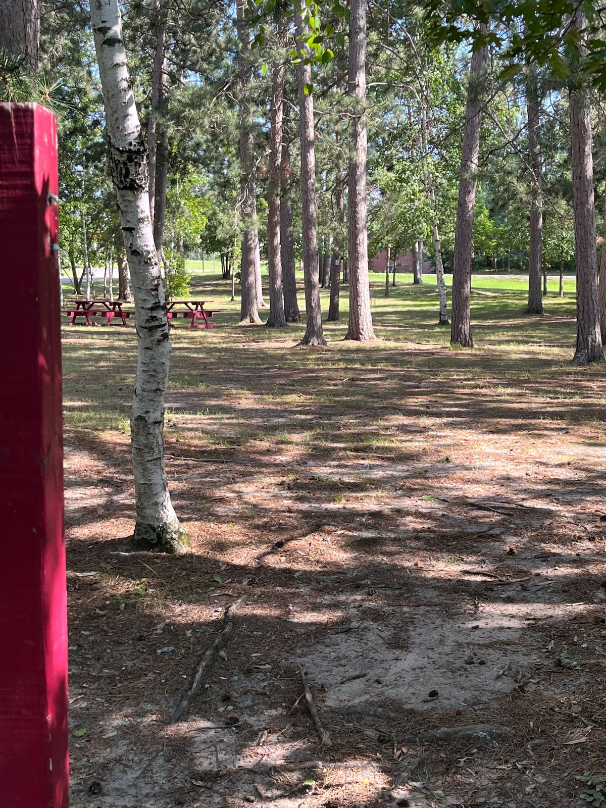 I think Tee box 4 unsure of distance to basket. Someone ripped down the sign.
