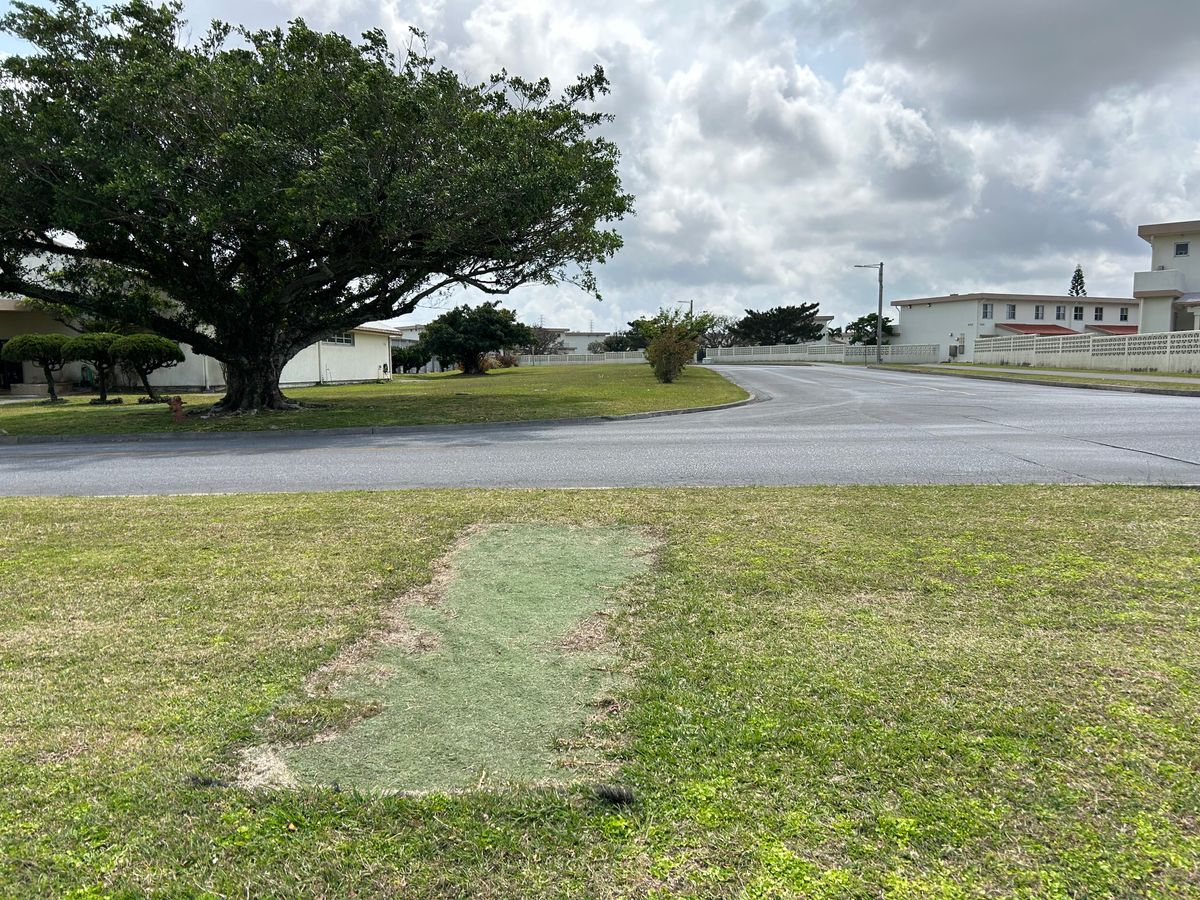 Hole 13 long/gold pad