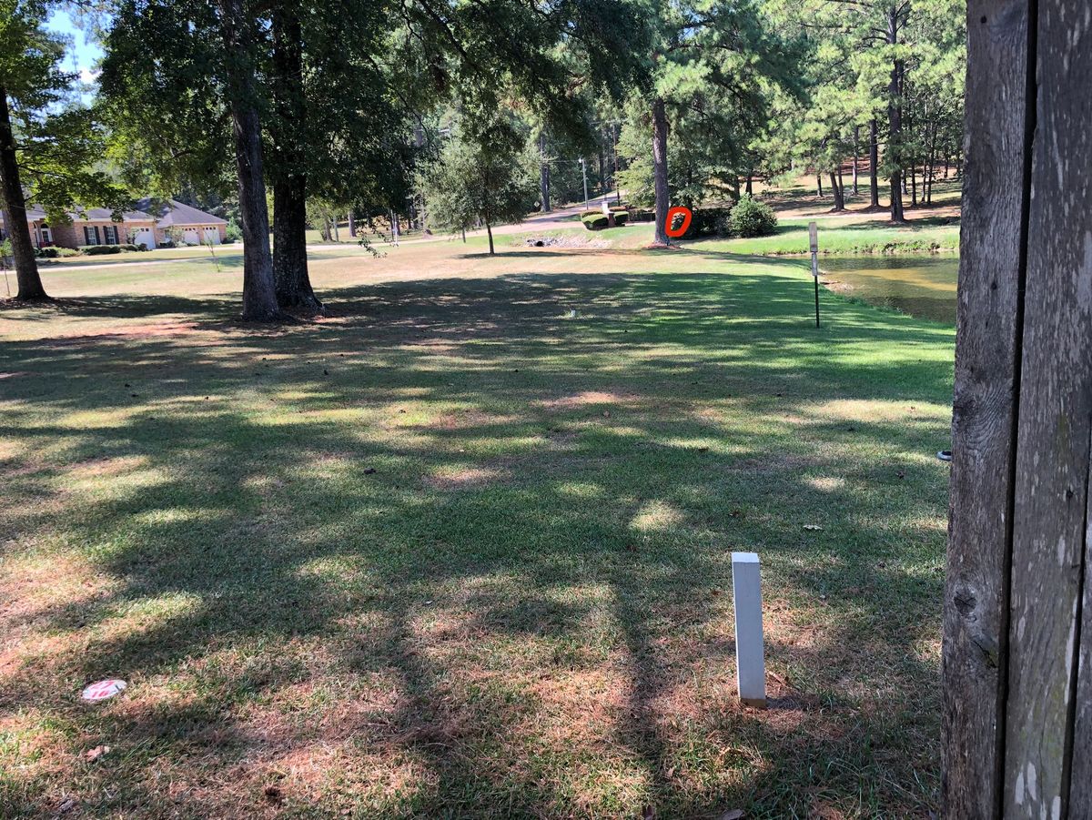 Hole 18 basket just across the late ditch and behind the flower bushes