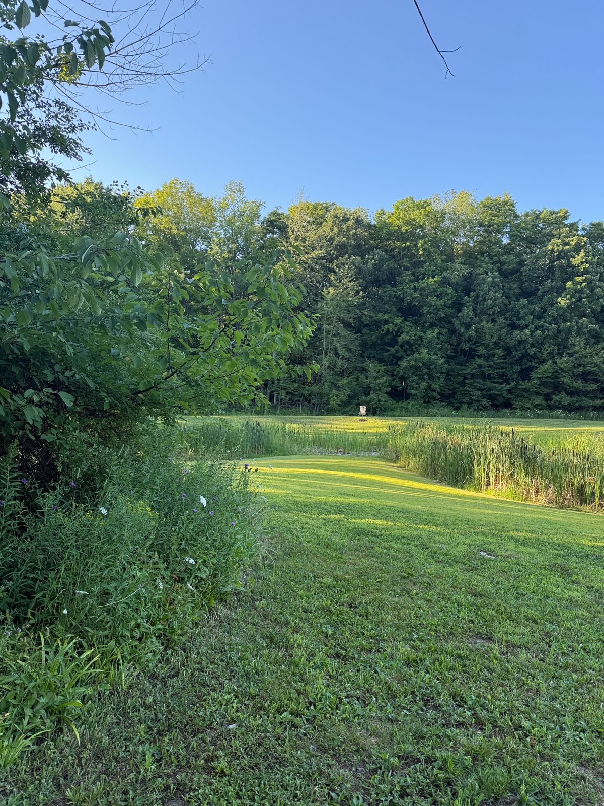 Another view of Hole #7