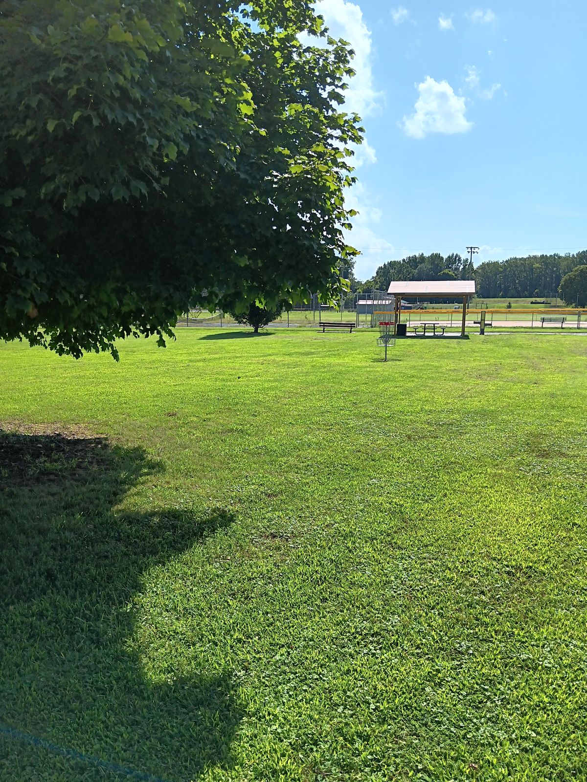 Hole 4 Basket