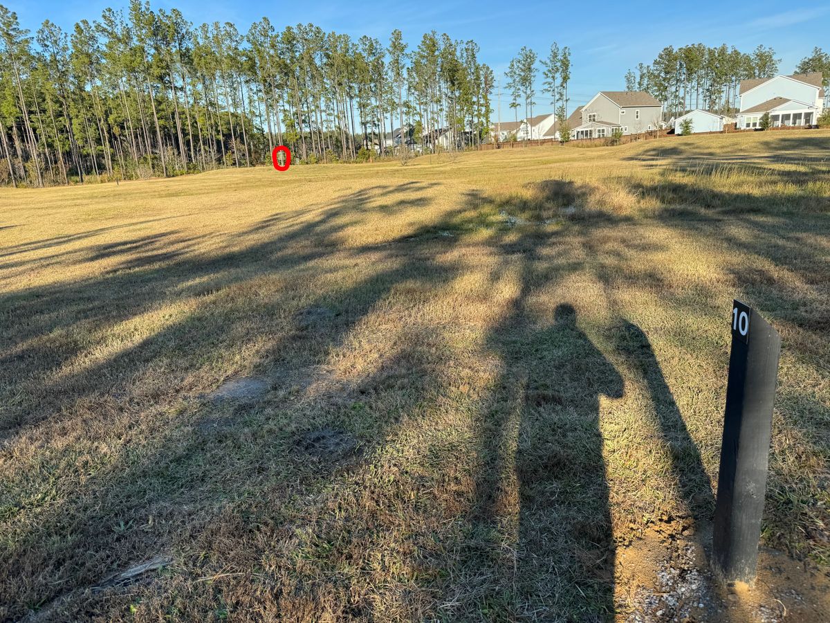 #10 fairway
