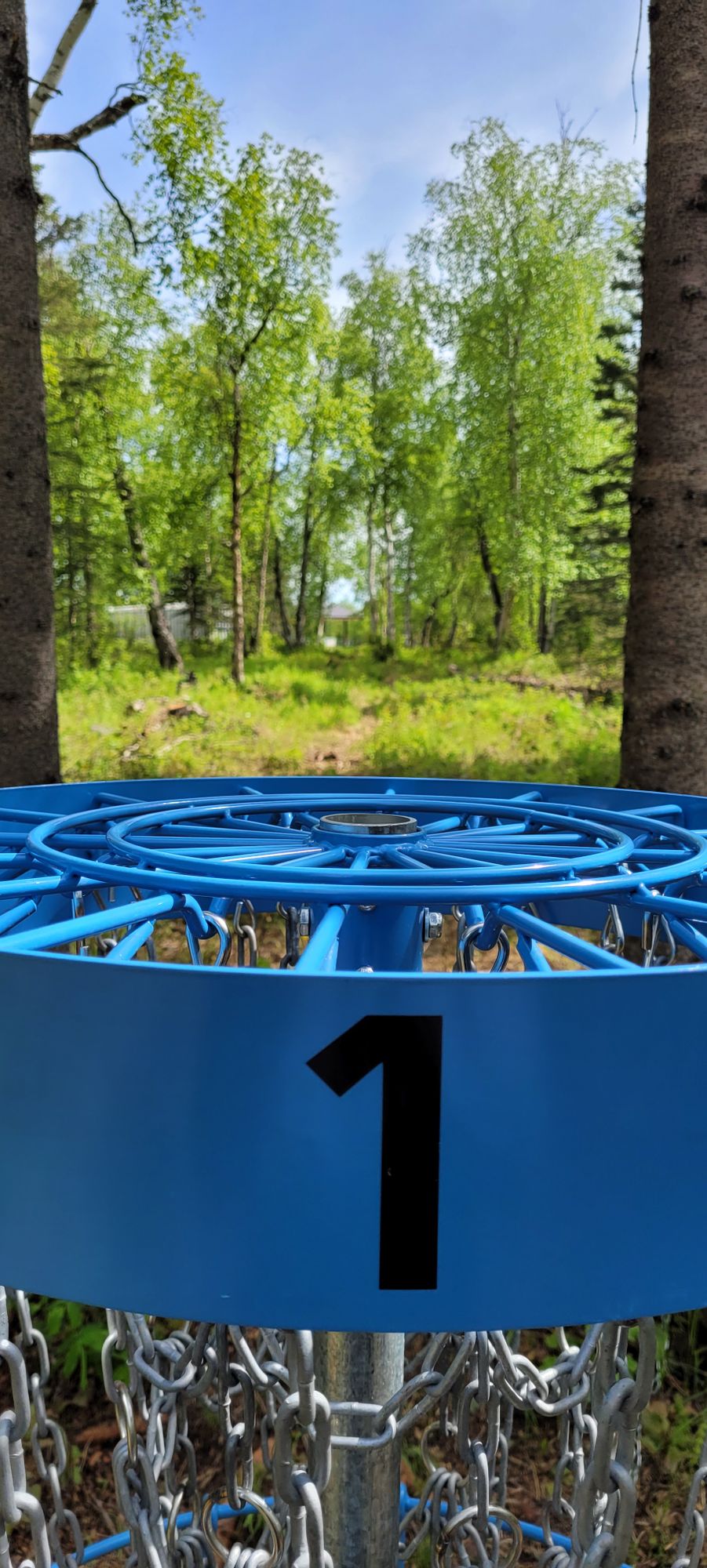 #1 basket to tee